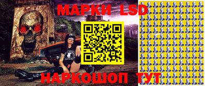 индика Лесосибирск