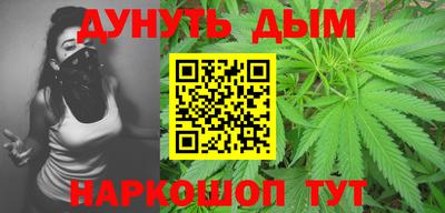 индика Лесосибирск