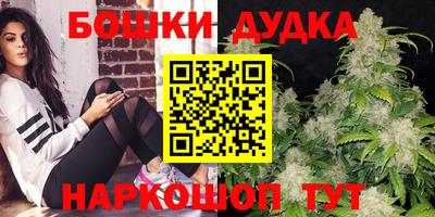 индика Лесосибирск